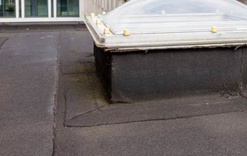 disadvantages of Bare flat roofs