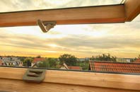 rated Bare roof window companies